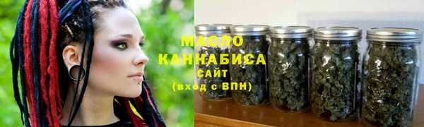 мдпв Новозыбков