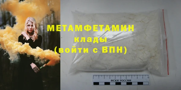 PSILOCYBIN Болотное