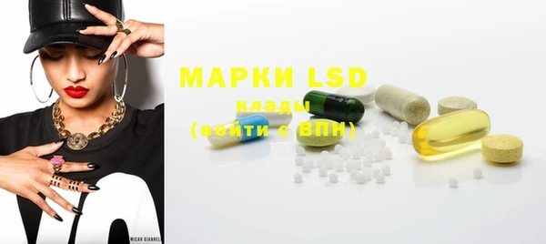 мдпв Новозыбков