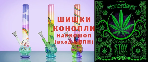 мдпв Новозыбков
