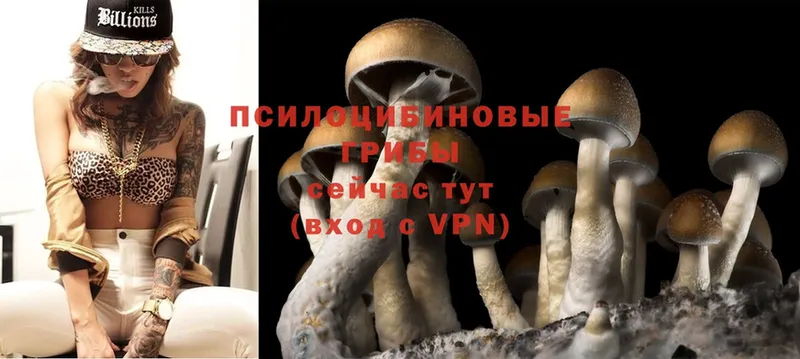 Псилоцибиновые грибы MAGIC MUSHROOMS  kraken ТОР  Ржев 