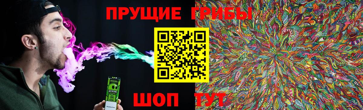 наркота  Псилоцибиновые грибы GOLDEN TEACHER  Псилоцибиновые грибы мухоморы  Вход с VPN  Ржев 