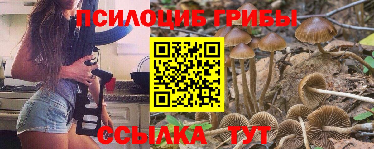 Галлюциногенные грибы GOLDEN TEACHER Ржев